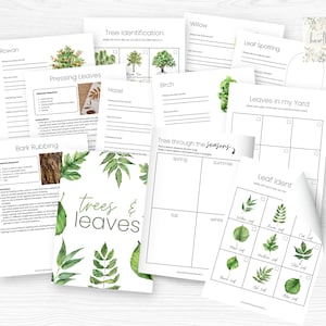 Trees & Leaves Nature Study Unit,  Unit Study, Homeschool Curriculum, Homeschool Printable, Instant Download, Charlotte Mason, Nature Study
