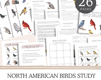 North American Birds Nature Study Unit & Flashcards Bundle,  Unit Study, Homeschool Curriculum, Homeschool Printable, Charlotte Mason