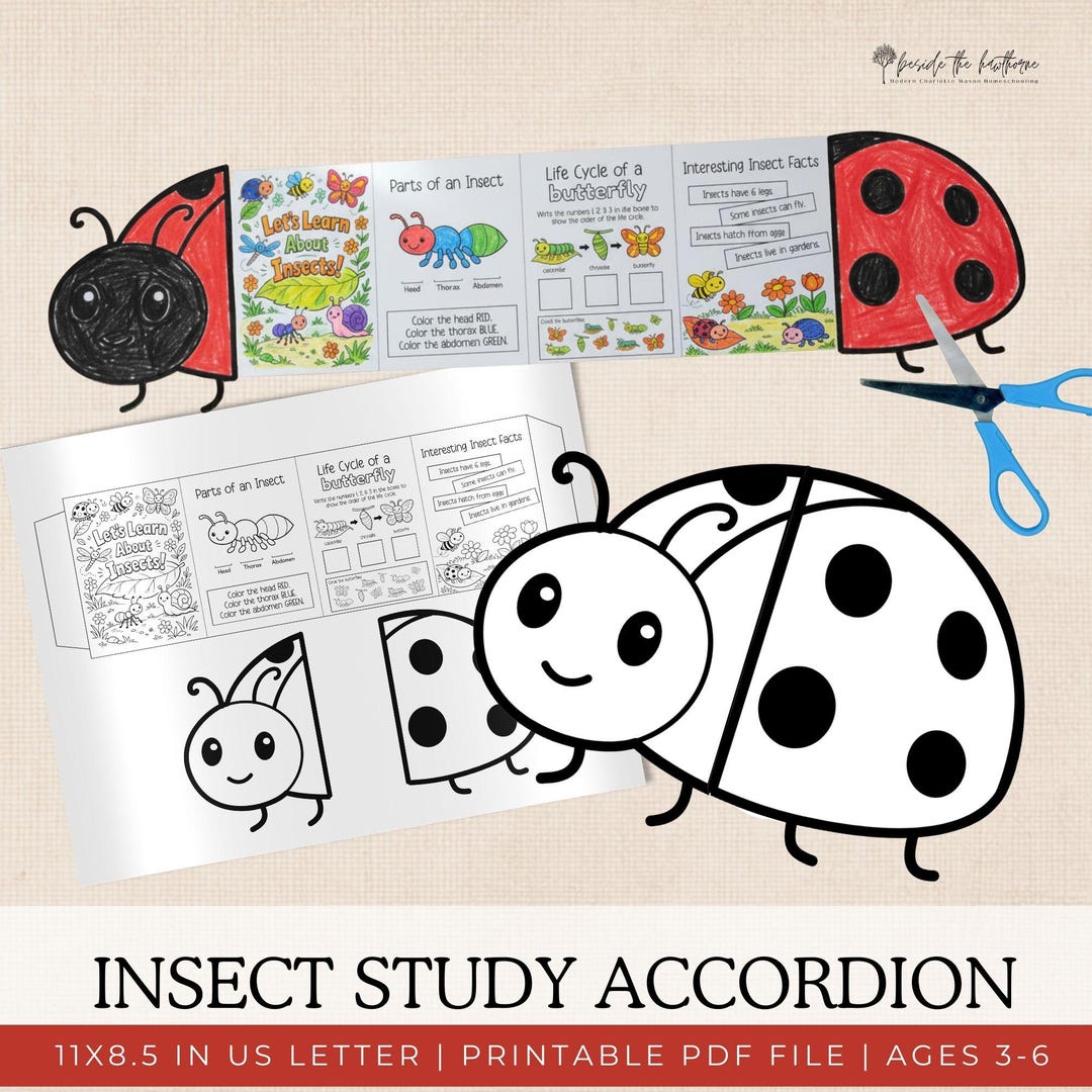 Insect Activity Books Insect Study Accordion Book | Printable Bug Activity for Kids ...