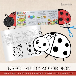 May include: An insect study accordion featuring a ladybug design. The accordion includes sections on insect parts, butterfly life cycles, and interesting facts. The text reads "INSECT STUDY ACCORDION" and "AGES 3-6". Includes a pair of blue scissors.