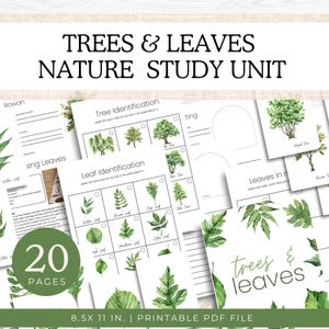 Complete Trees & Leaves Nature Study Unit with Flashcards,  Unit Study, Homeschool Curriculum, Instant Download, Charlotte Mason