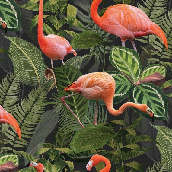 Tela decorativa tropical rosa verde canvasstoff decoraciones flamingos Flores