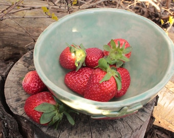 Strawberry bowl with draining plate, strawberries, bowl, bowl