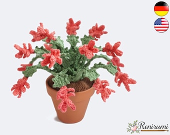 Crochet pattern christmas cactus • pot flower • Renirumi