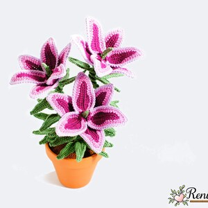 Haakpatroon lelie • Renirumi