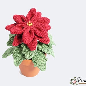 Crochet pattern poinsettia pot flower Renirumi image 1