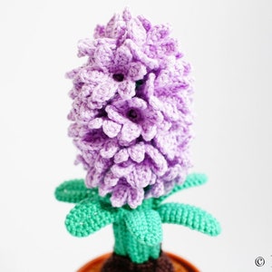 Patron Crochet Jacinthe Renirumi image 3