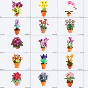 Saving Set • pot flowers Size L • Renirumi