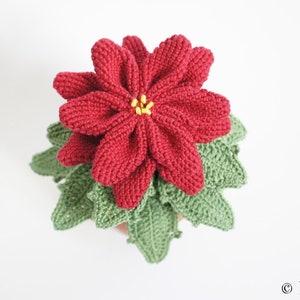 Crochet pattern poinsettia pot flower Renirumi image 3