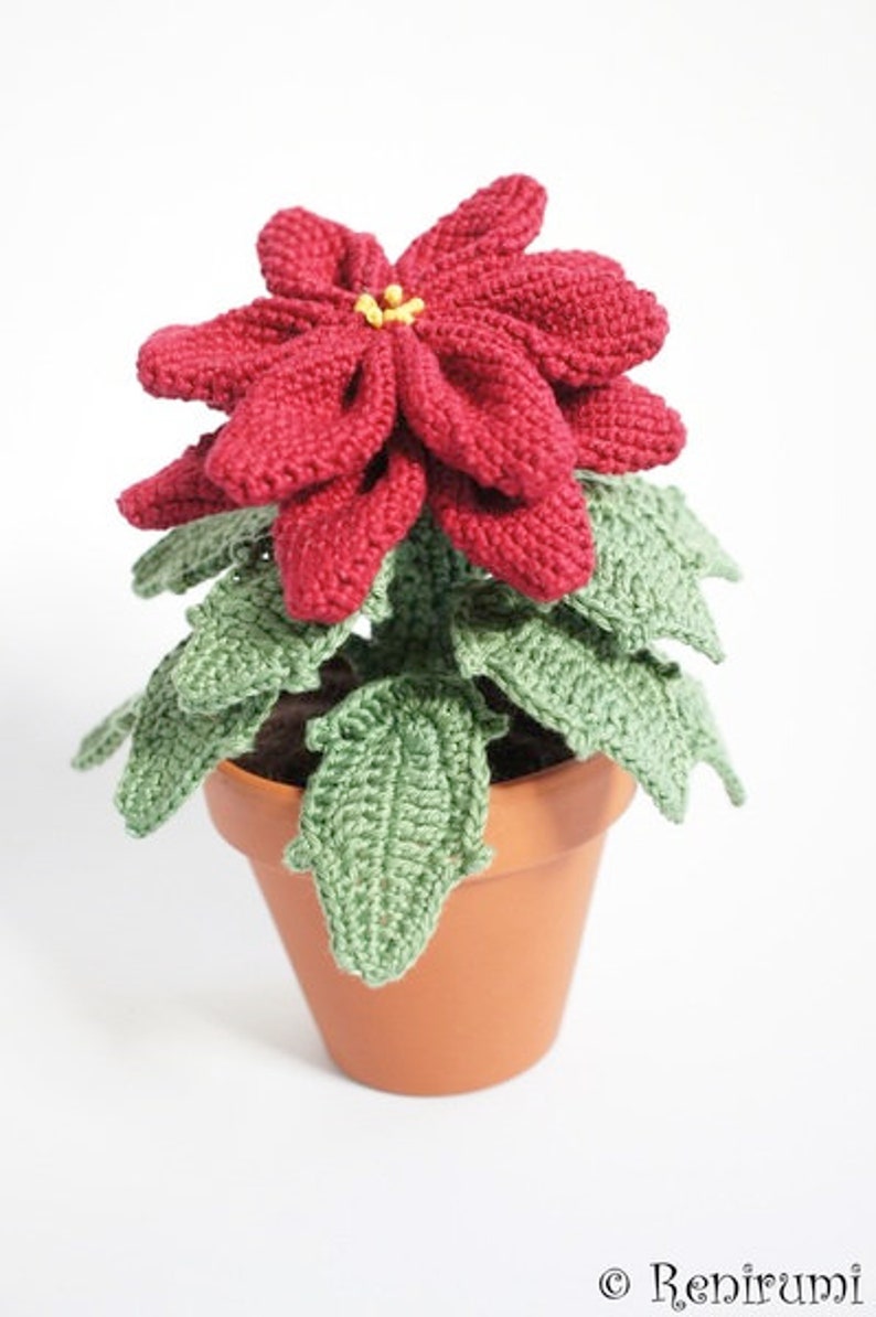 Crochet pattern poinsettia pot flower Renirumi image 2