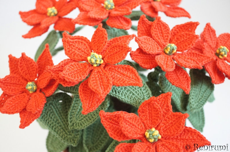 Crochet pattern poinsettia Renirumi image 4