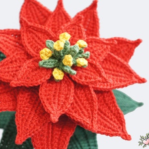 Crochet pattern poinsettia cut flower Renirumi image 4