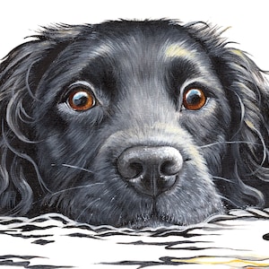 Cocker Spaniel print, working cocker spaniel, black spaniel, spaniel art fine art print