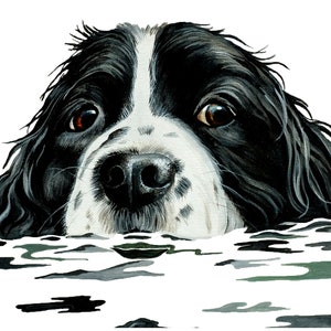 Springer spaniel print, black and white spaniel, spaniel art, fine art print, mounted print