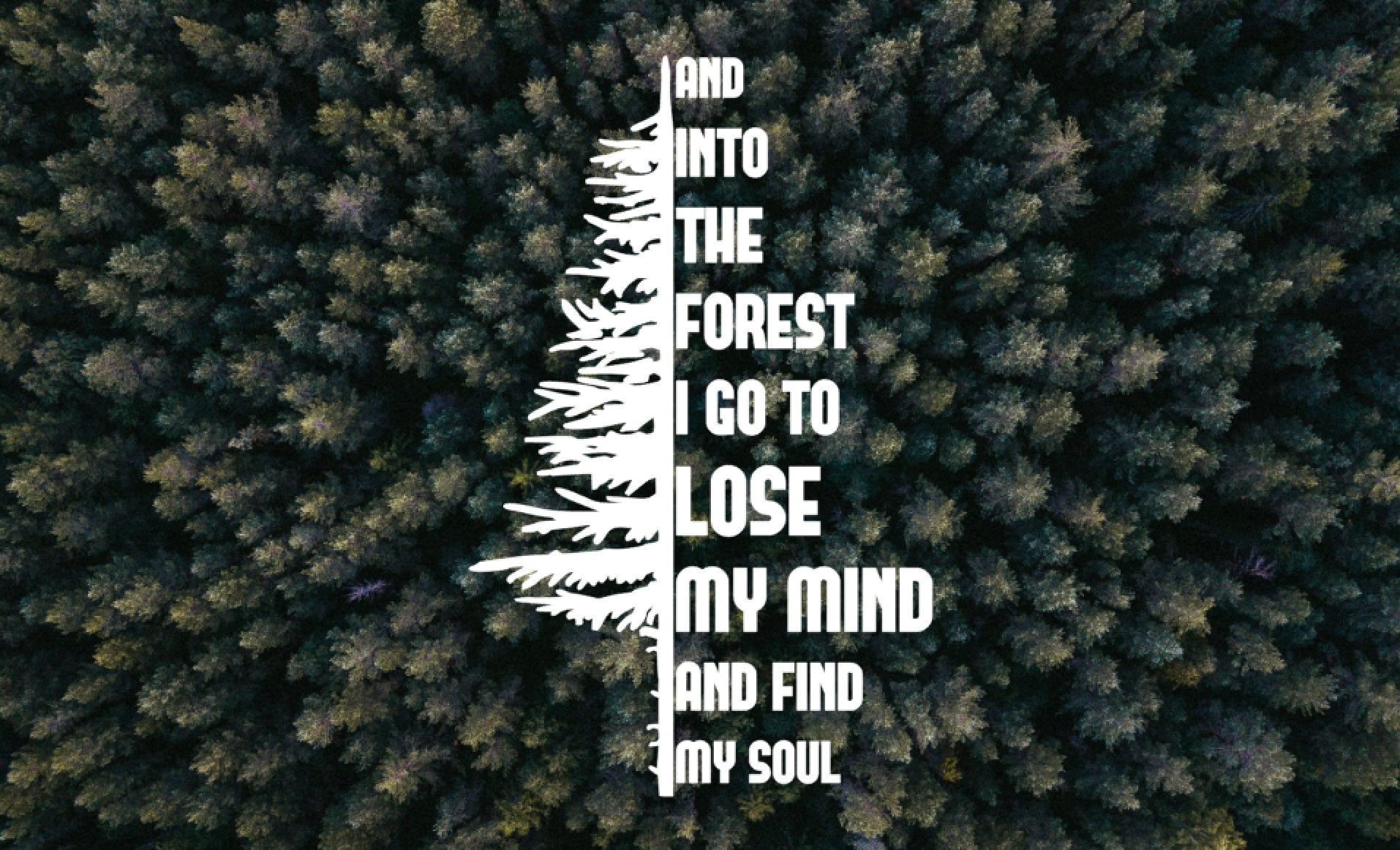 Into the Forest I Go Fir Tree Vinyl Decal - Vinyl Sticker, Car Window…
