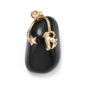 Zodiac pendant with chain - Capricorn
