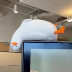 Computer Accessories