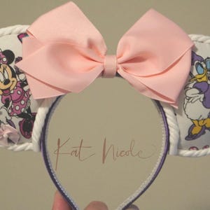 Character inspired mouse ears