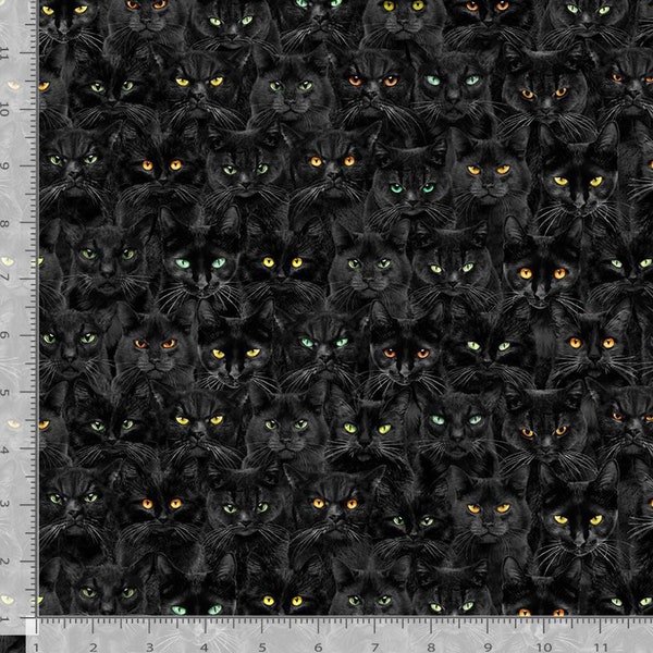 Fabric With Cats – Timeless Treasures Fabric with Black and Colored Eyes