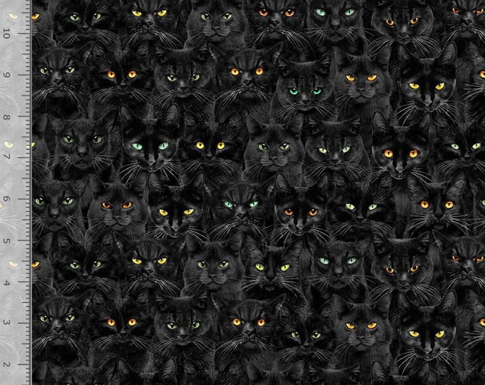 Fabric With Cats – Timeless Treasures Fabric with Black and Colored Eyes