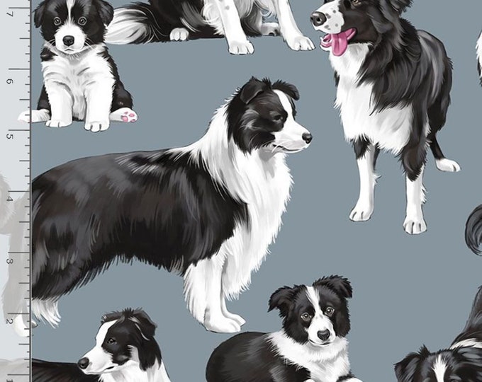 Adorable Border Collie Fabric – Perfect for Quilting, Crafts and Home Decor!