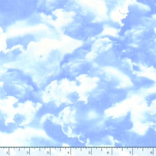 Fabric with Clouds Timeless Treasures Clouds Fabric