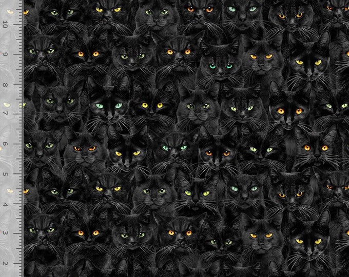 Black Cats with Colorful Eyes Fabric – Discover our Purrfect Fabric Collection Featuring Feline Friends