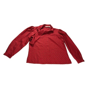 May include: A red blouse with long sleeves and a small, repeating pattern of green and brown dots. The blouse has a neck tie and a small collar.