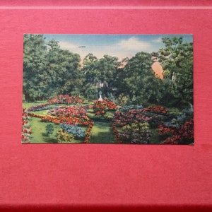 Postal Vintage 1955 Color Lino Acabado Jardín "Les Jardins de Mouton" Louisiana