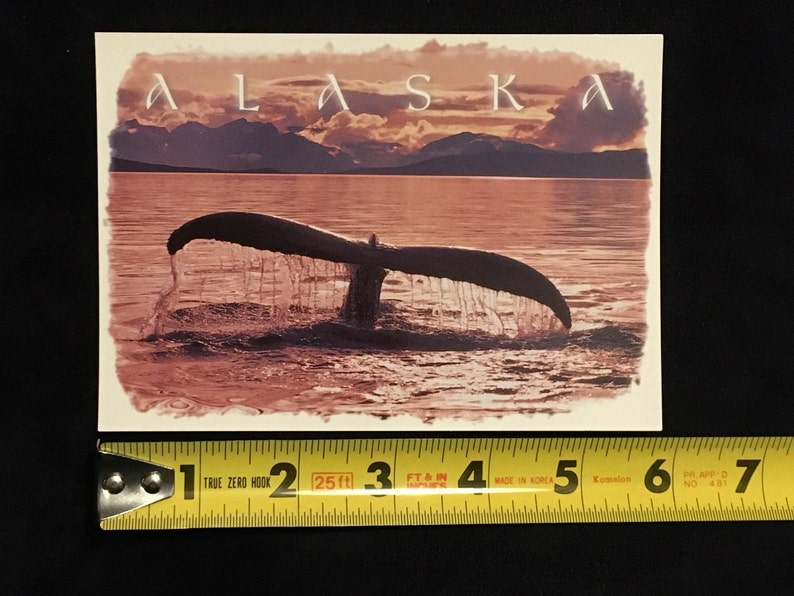 Alaskan Wildlife Postcard Humpback Whale Tail, Arctic Circle ...