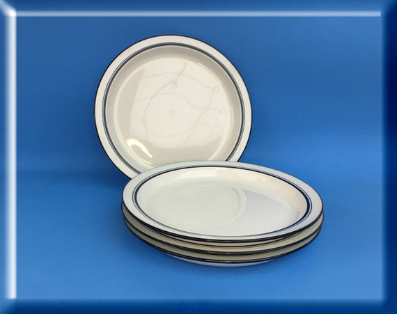 Dansk bistro outlet plates
