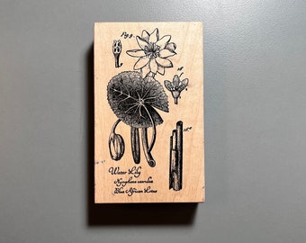 Water Lily Large Rubber Stamp Botanical Floral Blue African Lotus