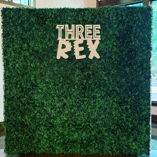 Three, Three Rex, Birthday, Dinosaur Decorations, Dino, 3, Tres Anos ...