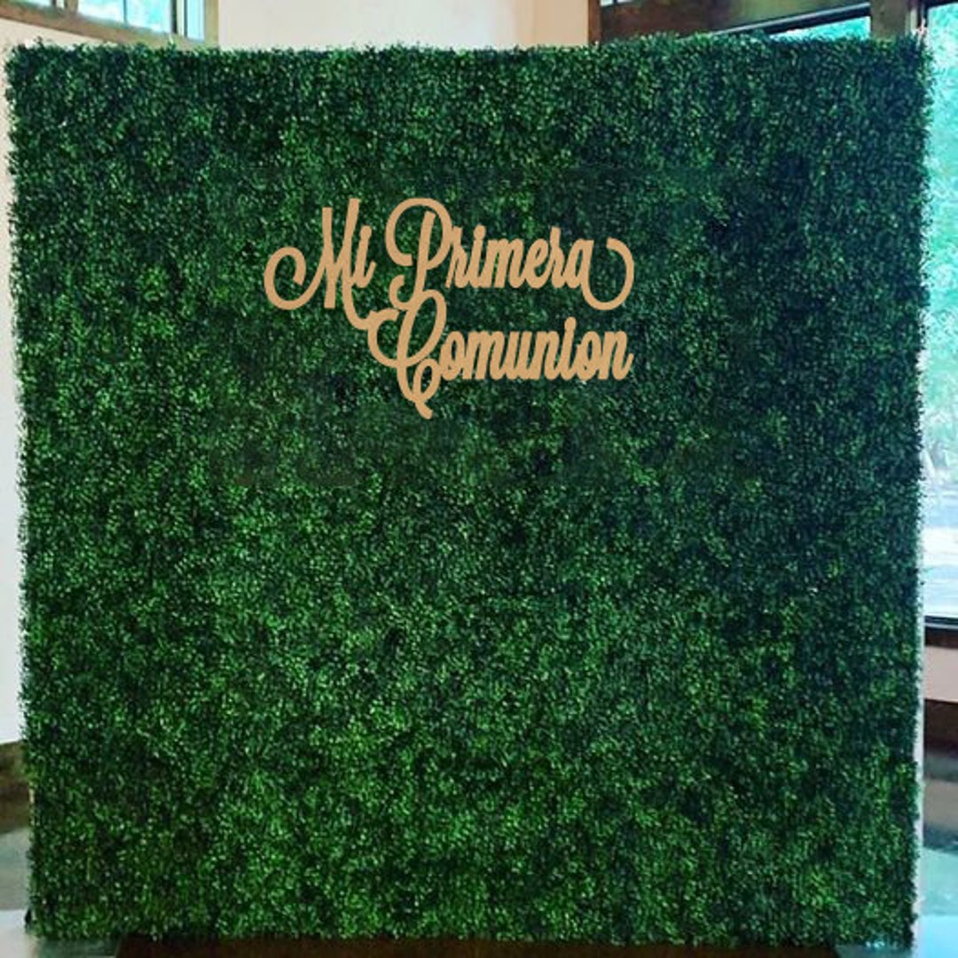 Mi Primera Comunion, Wood Signs, Backdrops, Mi Primera Comunion Sign
