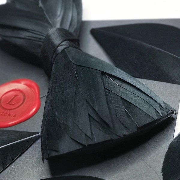 Handmade Black Feather Bow tie Lanzonia Men's Unique Bowtie for Wedding Party Prom