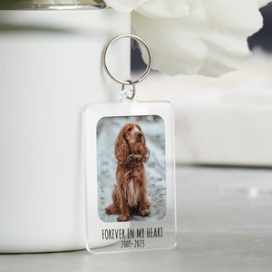 May include: A clear acrylic keychain with a photo of a brown dog. The keychain has the text "FOREVER IN MY HEART 2007-2023" printed on it.