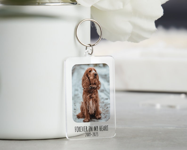 May include: A clear acrylic keychain with a photo of a brown dog. The keychain has the text "FOREVER IN MY HEART 2007-2023" printed on it.