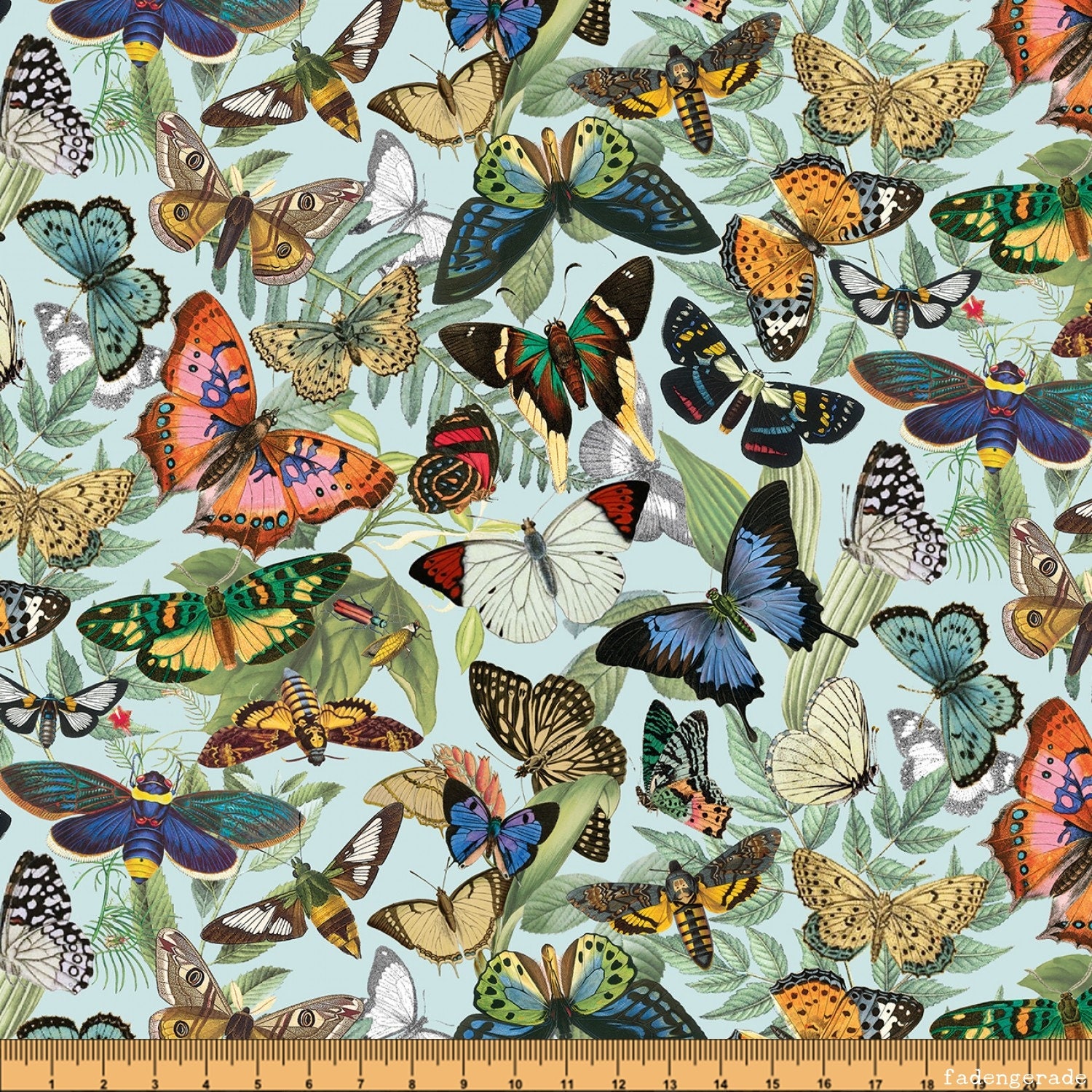 butterfly escape 8 butterfly escape 8