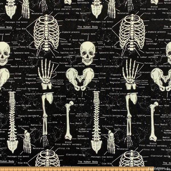 Skelett, Anatomie, Knochen, Knochenbau, Medizin -  Glow in the Dark Skeleton von Timeless Treasures