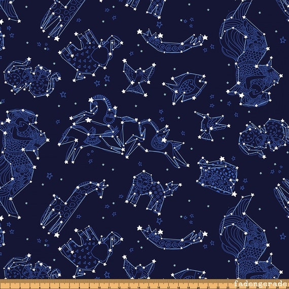 Zodiac Astrology Constellations Celestial Magic by Laurel | Etsy