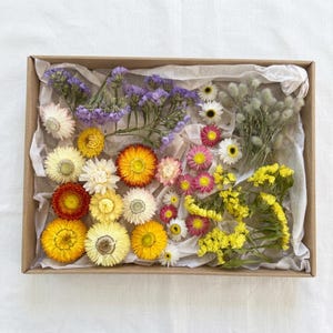 Könnte beinhalten: Ein rechteckiger Karton, ausgelegt mit weißem Seidenpapier, enthält eine Auswahl an getrockneten Blumen. Die Sammlung umfasst lila Statice, gelbe und orangefarbene Strohblumen, kleine weiße Gänseblümchen, rosa Blüten und grüne Hasenschwanzgräser.