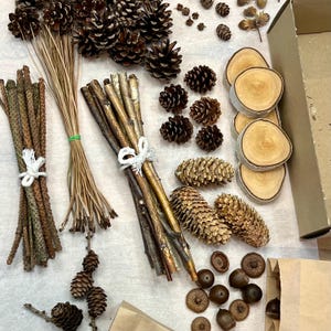 Może przedstawiać: Kolekcja naturalnych materiałów rzemieślniczych, w tym wiązki brązowych gałązek i igieł sosnowych, szyszki różnej wielkości, kilka okrągłych jasnych plastrów drewna oraz rozrzucone brązowe żołędzie, częściowo umieszczone w papierowych torebkach.