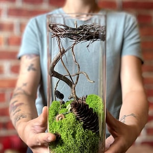 Könnte beinhalten: Ein zylindrisches Glas-Terrarium gefüllt mit konserviertem grünem Moos, einem kleinen Ast, Tannenzapfen und einem Vogelnest. Das Terrarium wird von einer Person gehalten. Der Hintergrund ist eine Backsteinmauer. Höhe ca. 30 cm.