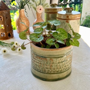 Op de afbeelding: Een kleine groene keramische plantenpot met een textuur van putjes en een gladde rand. De cilindrische pot bevat een plant met ronde, gevlekte groene bladeren. Het glazuur aan de buitenkant heeft een gevlekte afwerking in groene en bruine tinten.