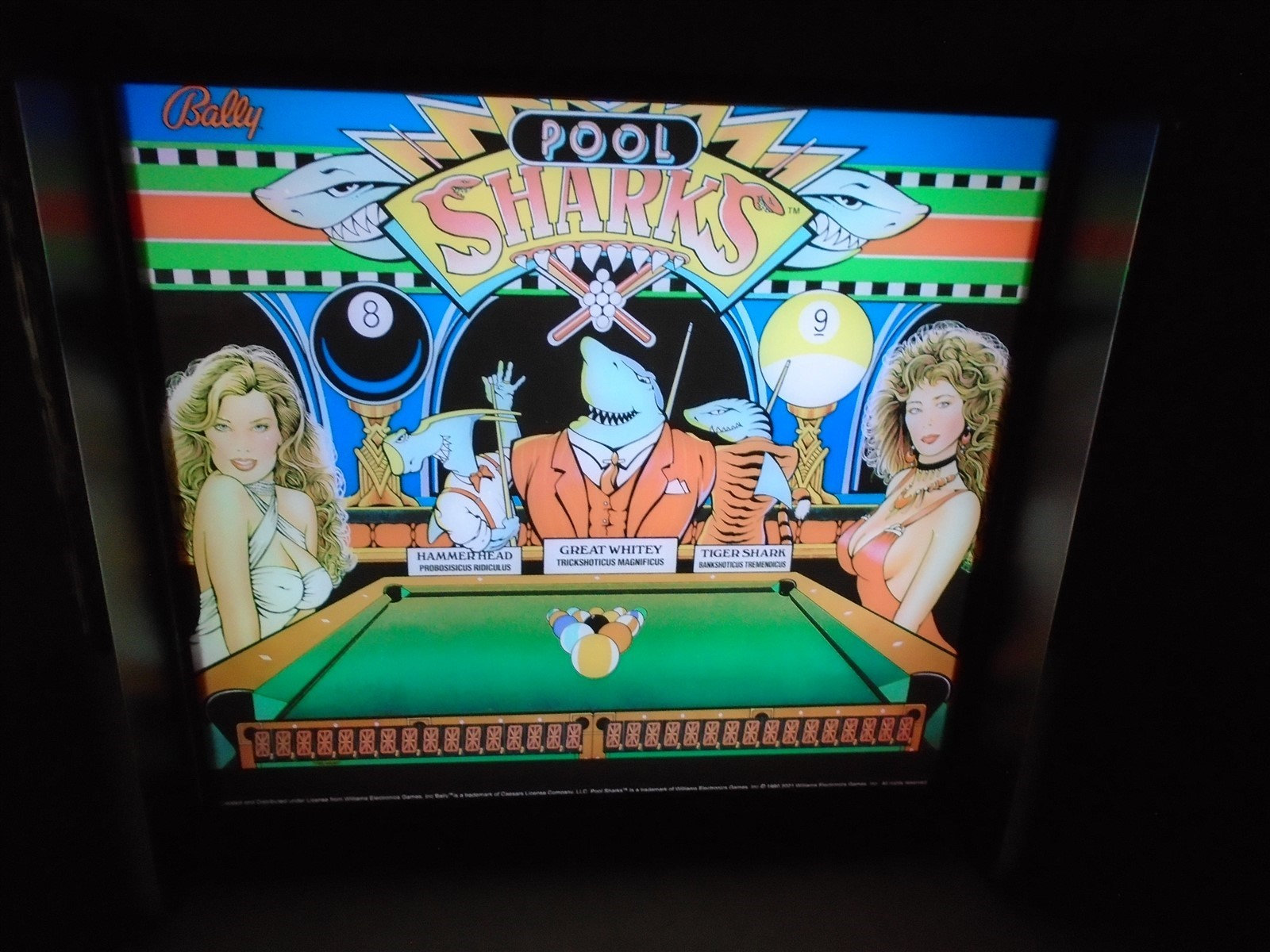 Bally Pool Sharks Pinball Head LED Display Light Box - Etsy