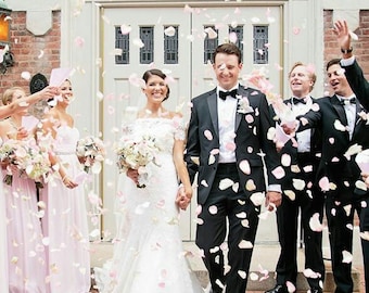 Echte getrocknete Blütenblätter Hochzeit Streublüten Streublumen Trauung Deko Kirche Brautpaar Spalier Streudeko Blütenkonfetti