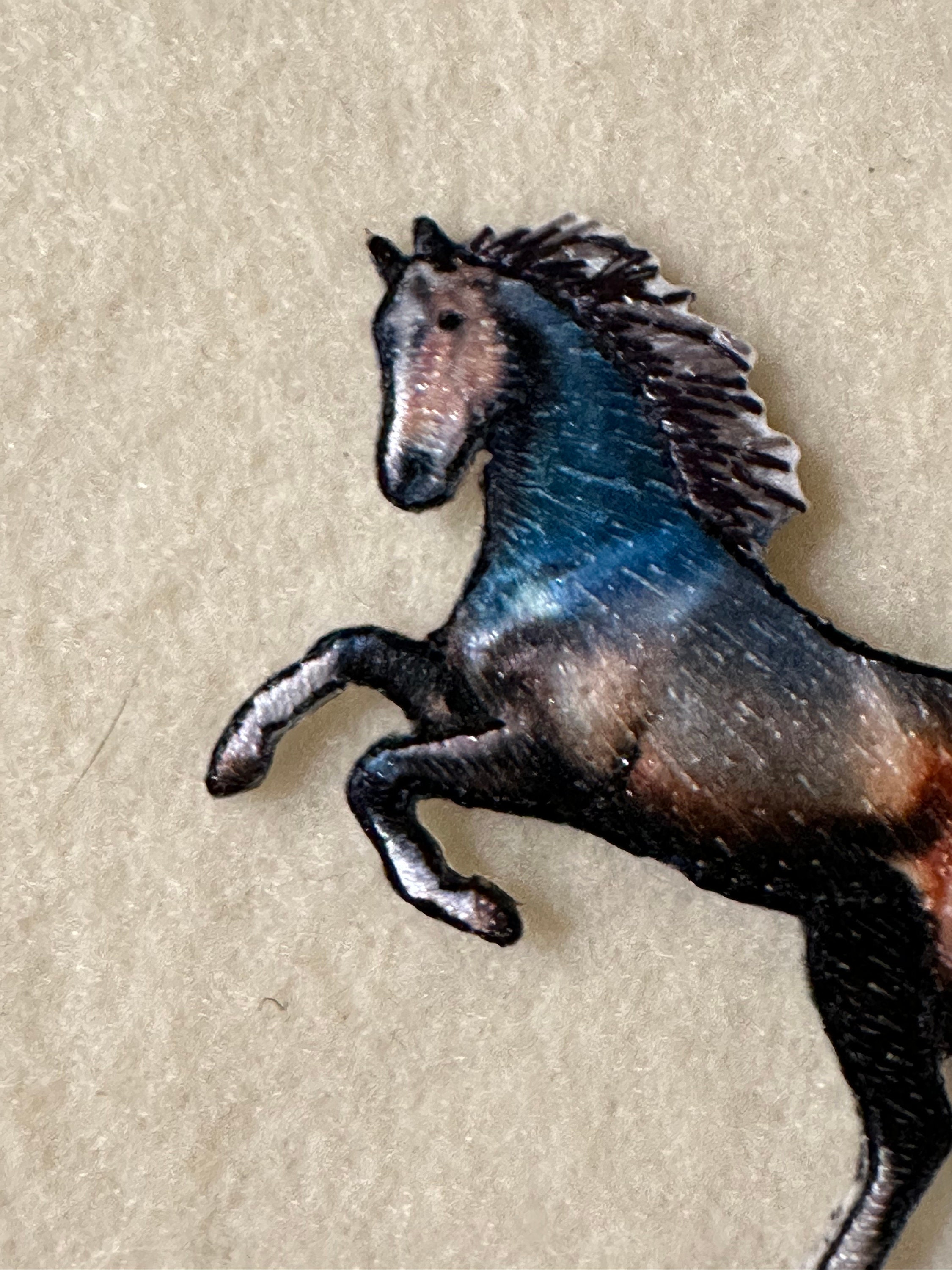 EXPGスタジオ札幌でのカウボーイズダンス, image size:2250x3000