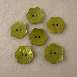 Botón - Flor de Nácar Natural Teñida de Verde - Precio por 1 Botón