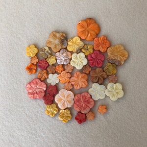 Mother of Pearl Embellishments Dyed in Oranges and Yellows Set of 39