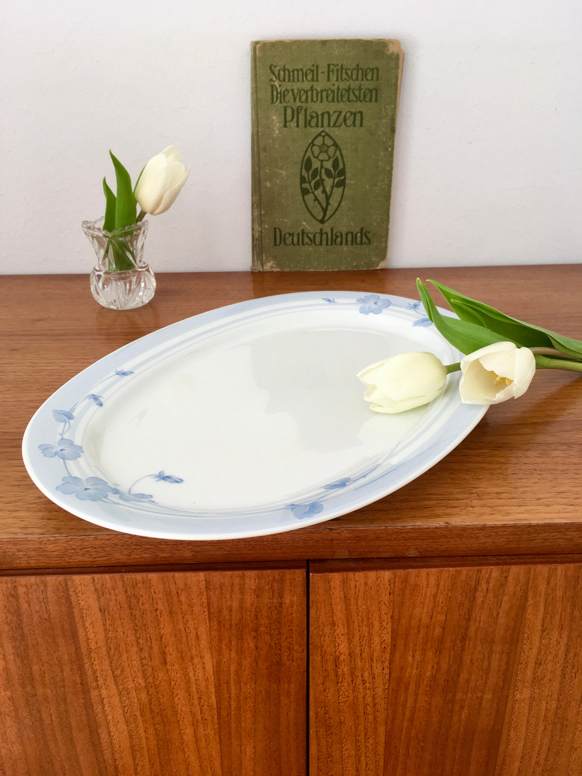 12 arbustes et plantes à fleurs bleues pour sublimer le jardin